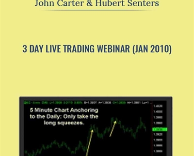 3 Day Live Trading Webinar (Jan 2010)